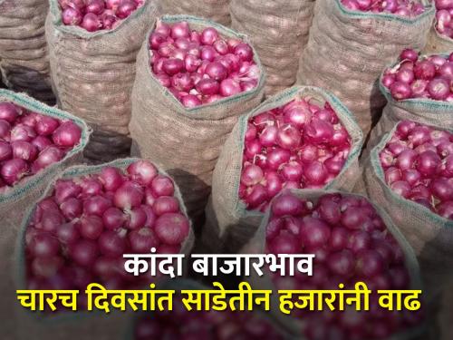 Solapuri onion now at eight thousand five hundred per quintal | सोलापुरी कांदा बाजारभाव आता साडेआठ हजारांवर