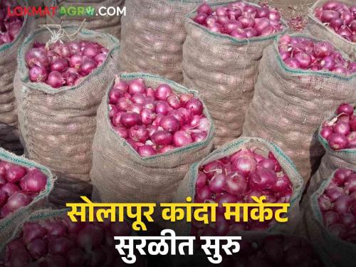 Will the stalled onions at the Bangladesh border affect on the onion market? | Onion Market : बांगलादेशच्या सीमेवर थांबलेल्या कांद्याने मार्केटवर होईल का परिणाम