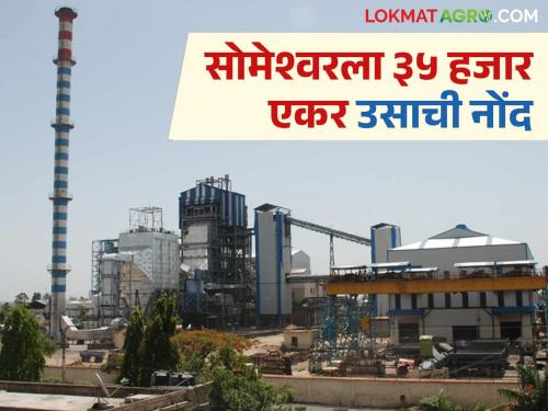 Someshwar Sugar : How much sugarcane will crush by Someshwar Sugar Factory in this season? | Someshwar Sugar : सोमेश्वर साखर कारखाना यंदाच्या हंगामात किती ऊस गाळप करणार?