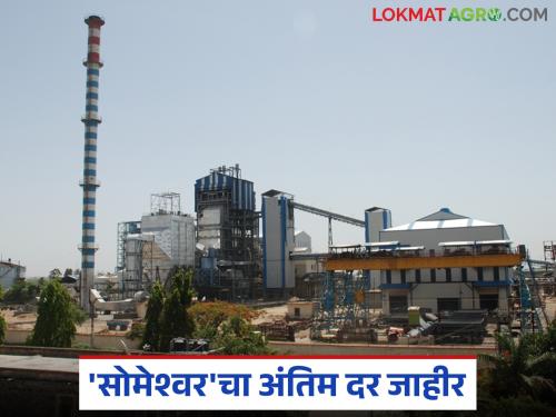 'Someshwar' factory continues its tradition of high sugarcane prices: What was the final sugarcane price? | 'सोमेश्वर' कारखान्याची उच्चांकी उसदराची परंपरा कायम: किती दिला अंतिम ऊस दर?