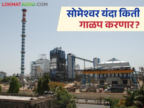 35 thousand acres of sugarcane, 9 thousand 500 tons of crushing capacity; This factory will crush 1.4 million tons this year | ३५ हजार एकर ऊस, ९ हजार ५०० टन गाळप क्षमता; यंदा 'हा' कारखाना करणार १४ लाख टनाचे गाळप