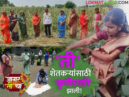 Latest News Navratri Special Sonali Kadam, agricultural assistant in Yeola taluka encouraging farmers to take up supplementary business | Navratri Special Story : शेतीला, शेतकऱ्यांना, महिलांना बळ देणारी 'कृषी सहाय्यक', वाचा 'ती'चा प्रवास