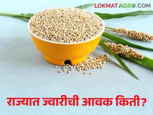 Latest News 05 april 2024 todays sorghum market price in maharashtra | Sorghum Market : सांगली बाजारात शाळू ज्वारीला सर्वाधिक भाव, असे आहेत ज्वारीचे बाजारभाव 