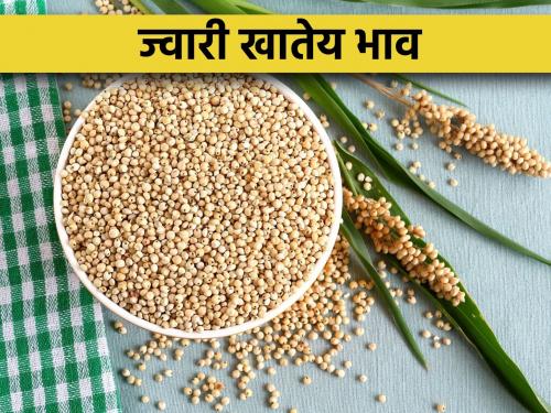 Sorghum got the highest price in the Sangli market committee | सांगली बाजार समितीत ज्वारीला मिळाला उच्चांकी दर