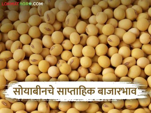 Soyabean Market : Inflow of soybeans increased, what was the price last week?  | Soyabean Market : सोयाबीनची आवक वाढली, मागील आठवड्यात काय भाव मिळाला? 