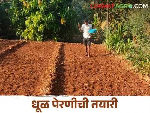 Kharif Sowing At the end of the Kharif season; Preparation for sowing dust | Kharif Sowing खरीप हंगामाची लगबग; धूळ पेरणीसाठी तयारी