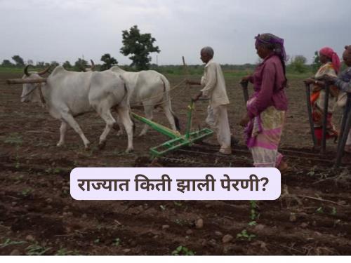 Latest News sowing percentage in maharashtra increased done on 33 lakh hectares till 20th june | राज्यात पेरण्याचा टक्का वाढला, आतापर्यंत 33 लाख हेक्टरवर पेरणी, 'हा' जिल्हा आघाडीवर