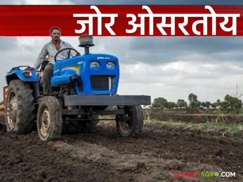 The rains will subside in the next five to six days; should sowing be done? | पुढील पाच ते सहा दिवस पावसाचा जोर ओसरणार; पेरणी करावी का?