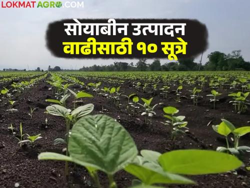 Don't forget to do these 10 simple things before sowing to increase soybean production | सोयाबीन उत्पादन वाढीसाठी पेरणी अगोदर करायला विसरू नका ह्या १० गोष्टी