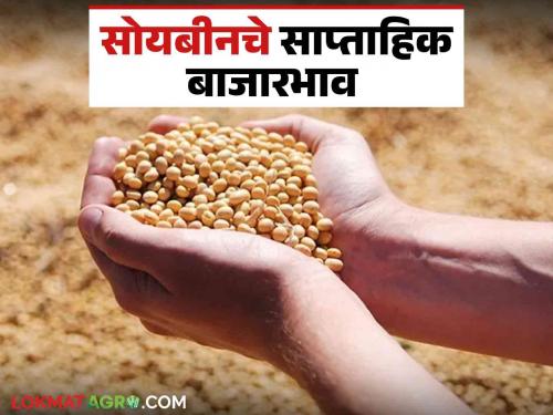 Latest News soyabean Market 2 percent increase in soybean price and 19 percent decrease in import, read in detail  | Soyabean Market : सोयाबीन दरात 2 टक्के वाढ तर आवकेत 19 टक्क्यांची घट, वाचा सविस्तर 