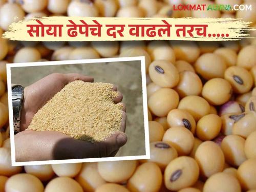 Latest News Soybean price increase only if price of soya doc, not oil see details | Soyabean Market : तेल नव्हे, साेया ढेपेचे दर वाढले तरच... जाणून घ्या सोयाबीन दरवाढीचं गणित