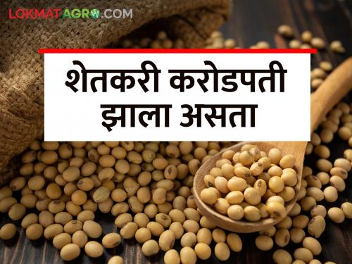 The Story of the Soybean; Expenditure is too much then income in hand..! | सोयाबीनची कहाणी; खर्च हातभर, कमाई वीतभर..!