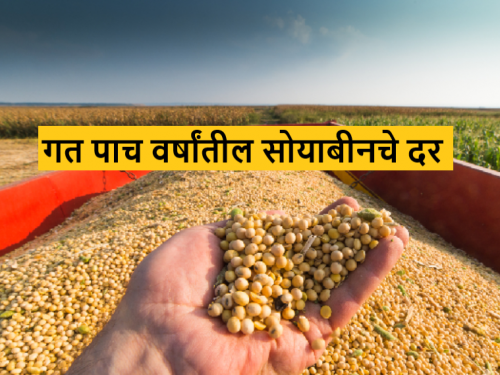 Latest News Soyabean bajarbhav last five years market price of soybeans Read in detail  | Soyabean Market : यंदा सोयाबीनला कमी भाव असण्याचे कारण काय? दर कसे बदलत गेले? वाचा सविस्तर