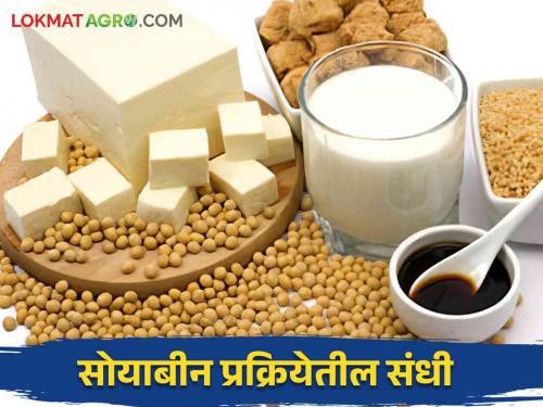 What are the opportunities in the soybean processing industry to get more profit from the soybean crop? | सोयाबीन पिकातून जास्तीचा नफा मिळविण्यासाठी सोया प्रक्रिया उद्योगात कशा आहेत संधी