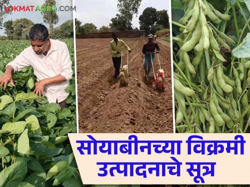 Soyabean Farmer Success Story: Record production of soybeans and got a prize of 50 thousand, read the success story   | Soyabean Farmer Success Story : सोयाबीनचे विक्रमी उत्पादन काढलं अन् 50 हजारांचं बक्षीसही मिळवलं, वाचा यशोगाथा  