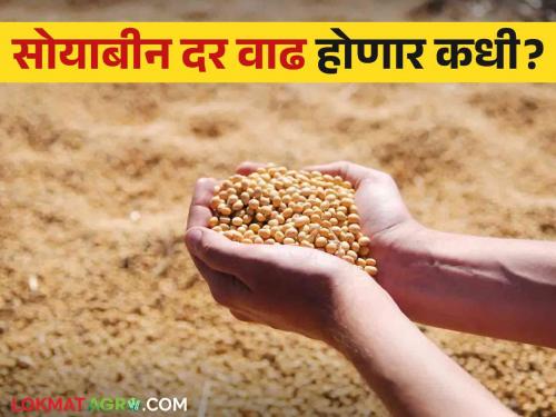 Soybeans Market : Decreased demand for soybeans in the international market  | Soybeans Market : आंतरराष्ट्रीय बाजारात सोयाबीनची घटली मागणी 