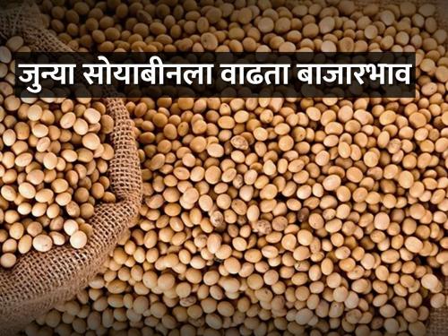 Baramati Soybean rate Rs.6 thousand per quintal | सोयाबीनला सहा हजार रुपये प्रति क्विंटल दर