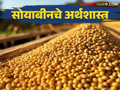 Latest News Production cost 6 thousand 39 rupees and 3 thousand 900 in hands, read economics of soybean  | Soyabean Production Cost : उत्पादन खर्च 6 हजार 39 हातात पडतात 3 हजार 900 रुपये, वाचा सोयाबीनचे अर्थशास्त्र 