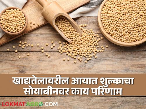 Soybean Market Update : Increase in Import Duty on Edible Oil; Indeed, the price of soybeans will increase!  | Soybean Market Update : खरंच सोयाबीनचे भाव वाढणार!  खाद्यतेलावरील आयात शुल्क वाढीचा काय परिणाम वाचा सविस्तर