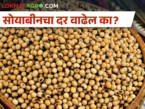 Today's soyabean market prices in akola, washim, sambhaji nagar and Maharashtra | आज आठवड्याच्या शेवटच्या दिवशी सोयाबीनला काय बाजारभाव मिळाला?