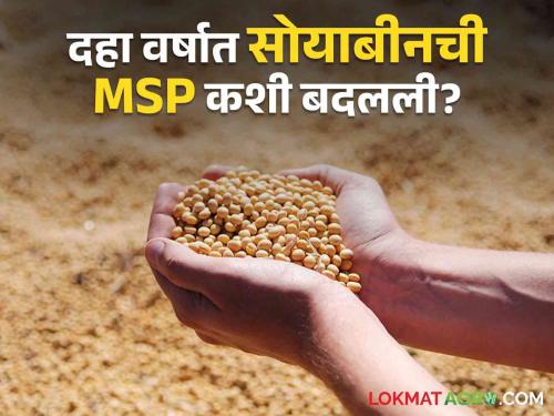 Soyabean MSP: How much has the guaranteed price of soybean increased in ten years? Know in detail  | Soyabean MSP : सोयाबीनच्या हमीभावात दहा वर्षात किती वाढ झाली? जाणून घ्या सविस्तर 