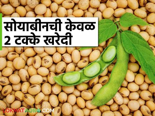 When the production of soybeans in the state is estimated to be around 50 lakh tones how can the purchase be only 27 thousand tones? | राज्यात सुमारे ५० लाख टन सोयाबीन उत्पादनाचा अंदाज असताना खरेदी मात्र केवळ २७ हजार टन कशी काय?