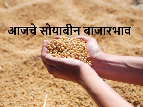 Today's soyabean price in major markets of Maharashtra state | आज सोयाबीनला कुठल्या मार्केटमध्ये जास्त बाजारभाव मिळाला? जाणून घ्या