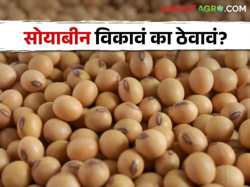 Soybean Market; How was the price of soybeans last year, will the price increase this year? | Soybean Market मागील वर्षभरात सोयाबीनचे दर कसे राहिले, यंदा वाढेल का भाव?