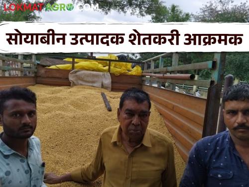 Soybean Market : Even if the price is not given, we will clap at home; Farmers warn the government to prepare for the agitation if necessary | Soybean Market : भाव नाही दिला तरी घरातच थप्पी लावू ; वेळप्रसंगी आंदोलनाची तयारीही ठेवू, शेतकऱ्यांचा सरकारला इशारा