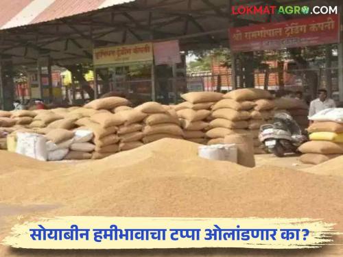 Soybean Market: Overnight rise in edible oil prices; However, the price of soybeans did not increase! | Soybean Market : खाद्यतेलांच्या तेलाच्या किमतीत रात्रीतून वाढ; सोयाबीनचे भाव मात्र वधारेना !