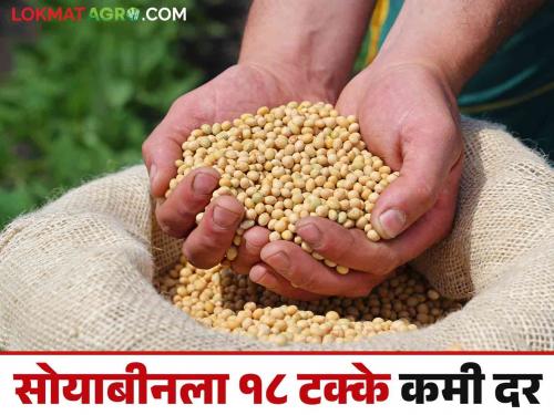 Latest News Soyabean Hamibhav Soyabean price 18 percent lower than government msp price, read details  | Soyabean Hamibhav : सोयाबीनला सरकारी हमीभावापेक्षा 18 टक्क्यांनी कमीच भाव, वाचा सविस्तर 