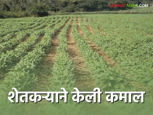 soybean crop : Deshmukh came first with a record yield of soybean crop | soybean crop : सोयाबीन पीकाचे विक्रमी उत्पादन घेऊन देशमुख आले प्रथम