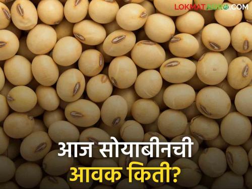 Latest News Soyabean Bajarbhav 18 thousand quintal arrival of soybeans in Latur market, soyabean market prices | Soyabean Bajarbhav : लातूर बाजारात सोयाबीनची 18 हजार क्विंटल आवक, वाचा आजचे बाजारभाव