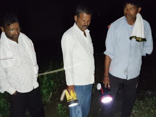 issue of soybean snail attack in Marathwada | मराठवाड्यात सोयाबीनच्या शेतकऱ्यांसाठी रात्र वैऱ्याची का ठरत आहे...