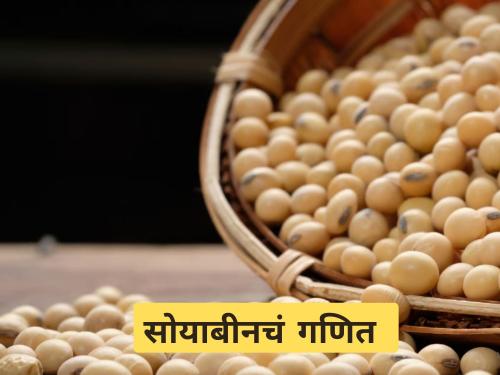 Latest News Variance in acre cost and market price of soybeans see details | सोयाबीनचा एकरी खर्च आणि बाजारभावाचे गणित काही जुळेना, शेतकरी हवालदिल 