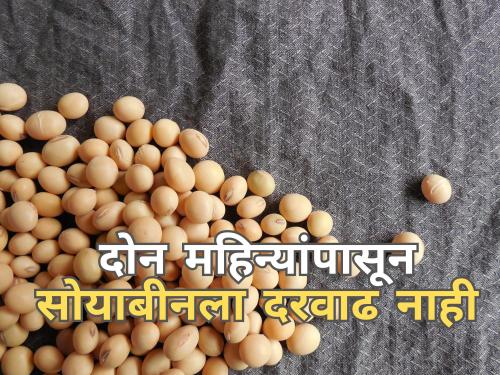 Latest News no increase in price of soybeans for two months | दोन महिन्यांपासून सोयाबीनला दरवाढ नाही!