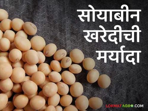 Guaranteed Purchase Center; Soybean purchase limit for farmers in trouble | हमीभाव खरेदी केंद्र ; शेतकऱ्यांना सोयाबीनची खरेदीत मर्यादा अडचणीत