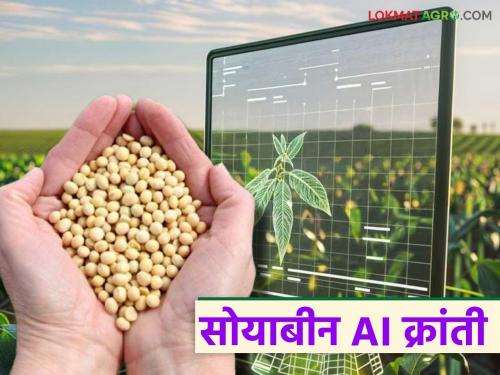 latest news Soybean with AI : Soybean farming has become 'smart'; AI project will be a game changer for farmers Read in detail | Soybean with AI : सोयाबीन शेती ‘स्मार्ट’ झाली; AI प्रकल्प शेतकऱ्यांसाठी ठरणार गेमचेंजर वाचा सविस्तर