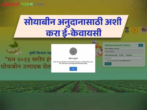 Soybean subsidy stuck due to KYC? Now how to do e-KYC on your mobile at home | सोयाबीन अनुदान केवायसीमुळे अडकलंय? आता घरच्याघरी तुमच्या मोबाईलवर कशी कराल ई-केवायसी