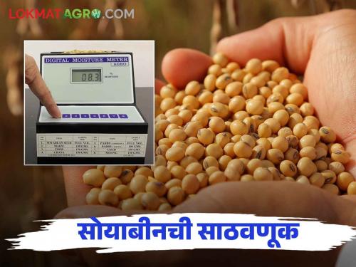 Soybean Biyane: How to store soybeans for better germination, read in detail | Soybean Biyane : सोयाबीनची उगवणशक्ती चांगली राहण्यासाठी कशी कराल साठवणूक वाचा सविस्तर