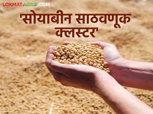 latest news Soybean Storage Cluster: 'Soybean Storage Cluster' launched in Latur; Construction of state-of-the-art warehouse! Read in detail | Soybean Storage Cluster: 'सोयाबीन साठवण क्लस्टर'चा लातुरात शुभारंभ; अत्याधुनिक गोदाम उभारणी! वाचा सविस्तर