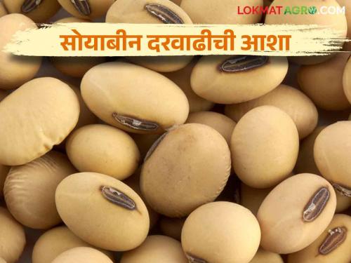 Soybean Market: Farmers are Awaiting for expected rate of soybean | Soybean Market : सोयाबीनला अपेक्षित दर मिळणार तरी कधी शेतकऱ्यांचा प्रश्न; अपेक्षित दराच्या प्रतीक्षेत 