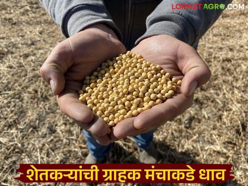latest news Fake Seeds: Seed disaster; No germination on 200 hectares, farmers will take to consumer forum Read in detail | Fake Seeds : बियाण्यांचा फटका; २०० हेक्टरवर उगवण नाही, शेतकरी ग्राहक मंचात घेणार धाव वाचा सविस्तर