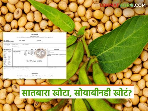 latest news Fake Satbara, fake sowing; Scam of Rs 1 crore exposed in soybean purchase read in details | बनावट सातबारा, खोटा पेरा; सोयाबीन खरेदीत तब्बल १ कोटींचा घोटाळा उघड वाचा सविस्तर