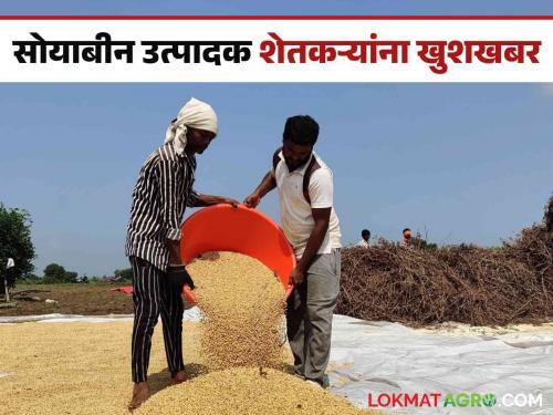 Soybean Hamibhav Kendra : so much amount will be deposited in the account of 3 crore farmers for purchase of soybeans | Soybean Hamibhav Kendra : सोयाबीन खरेदीपोटी ३ कोटी शेतकऱ्यांच्या खात्यावर होणार 'इतके' कोटी रक्कम जमा