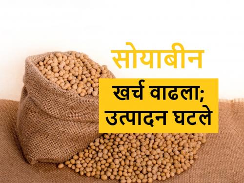 Soybean edible oil import affects market rate and soybean farmer | खाद्यतेलाची आयात वाढविल्याने साेयाबीन उत्पादकांची गळचेपी