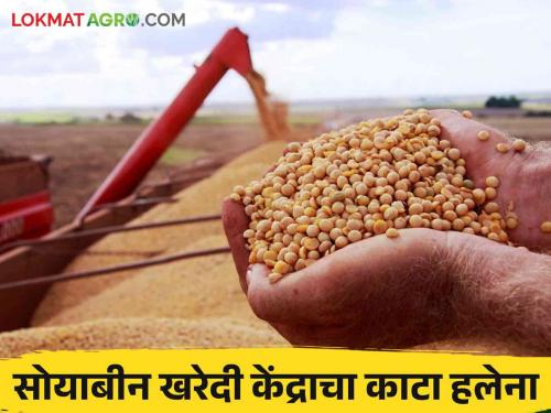 Soybean bajar bhav : 'moisture trunk' in the way of soybean assurance; Read the What's FAQ in detail | soybean bajar bhav : सोयाबीन हमीभावाच्या मार्गात 'मॉइश्चर चा खोडा; काय आहे एफएक्यू वाचा सविस्तर