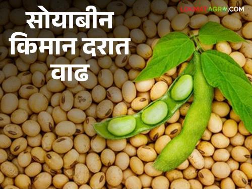 Soybean Market : Soybean turnover has come down ; Maximum price stable ! | Soybean Market : सोयाबीनची उलाढाल उतरली ; कमाल भाव स्थिर !