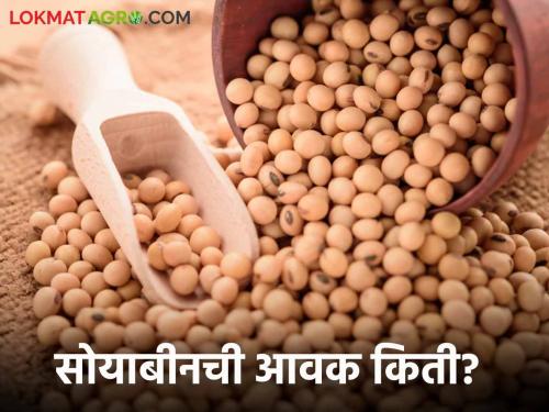 Soybean Bajar Bhav: Soybean arrival in the state market 85661 quintals; Read in detail what the price is getting | Soybean Bajar Bhav : राज्यातील बाजारात सोयाबीनची आवक ८५६६१ क्विंटल; काय मिळतोय भाव ते वाचा सविस्तर