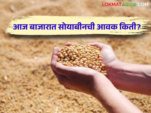 Soyabean Market Update: Maximum arrival of soybeans in Latur market; Read the price in detail | Soyabean Market Update : लातुरच्या बाजारात सोयाबीनची सर्वाधिक आवक; काय मिळाला भाव वाचा सविस्तर